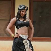 Meghana Naidu Hot & Spicy Gallery | Picture 93192